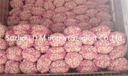 China farm fresh garlic