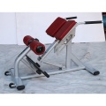 Roman chair body building home fitness equipment bench