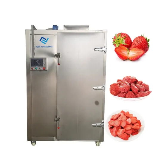 Strawberry PLC Dehydrator Machine | 32Trays Dried Fruit Dryer | Onion & Mushroom Drier