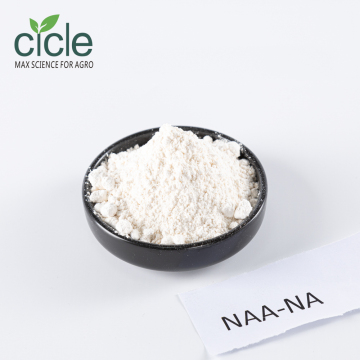 Sodium Naphthalene Acetate Auxin for Plant Growth Regulation