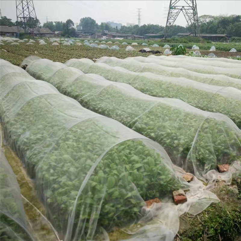 Bug Insect Bird Net Barrier Vegetables Fruits Flowers Plant Protection Greenhouse Garden Netting LKS99