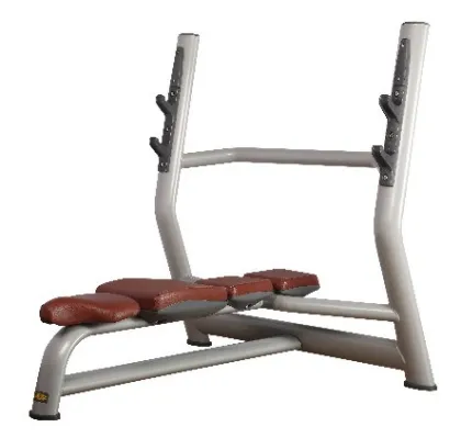 Professional Fitness Equipment Bench Press