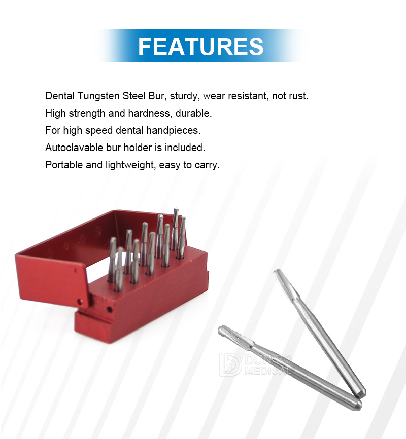 Dental Tungsten Steel Bur Kit(6)