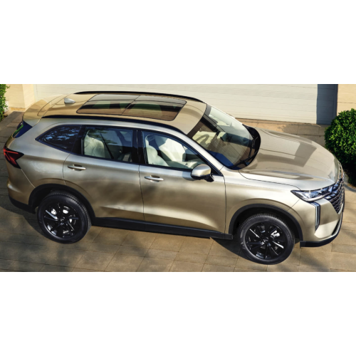 2025 Haval H6 1,5T Champion