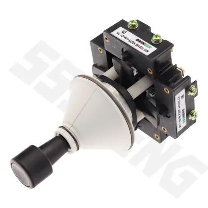 SSSHENG Electric Switches Supplier: PK12-21-821D Cross Limit Switches & Push Button Post Switches