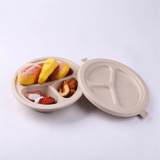 Biodegradable Pulp Molded Paper Food Box Food Bowl