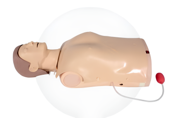 Halbkörper -CPR -Training Manikin -Light -Indikation