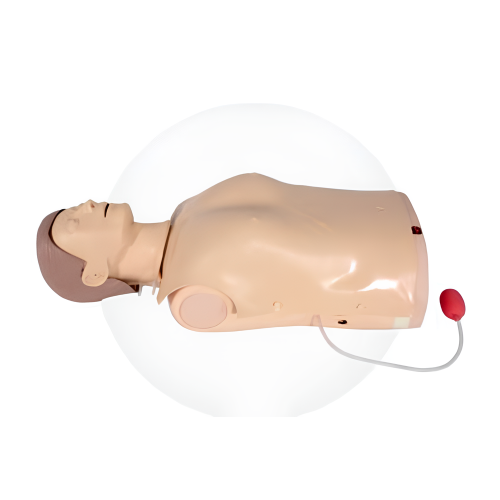 CPR Training Half Body CPR Training Manikin–Light Indication Manufactory