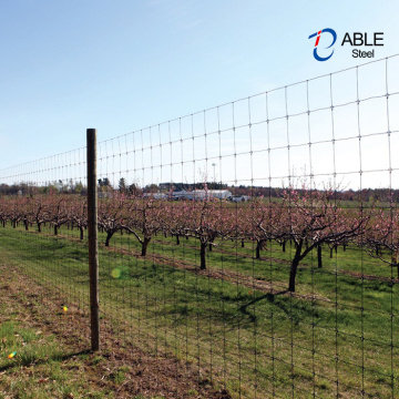 Animal Farm Knotted Wire Mesh Fence For Sheep