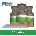 70 lysine sulfate အမှုန့် packets များ