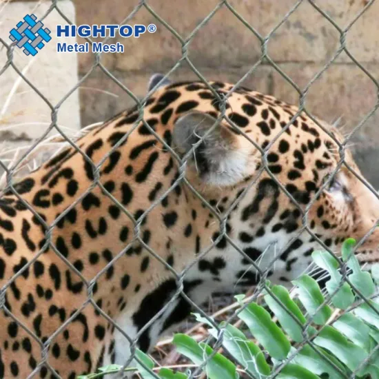 Anti-Corrosion Stainless Steel Mesh Netting: Ideal for Zoo Aviaries and Corrosive Environments