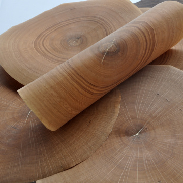 New Design GREENLAND Annual Natural Wood Veneer Annuel Chinese Ash Ring American walnut European Oak