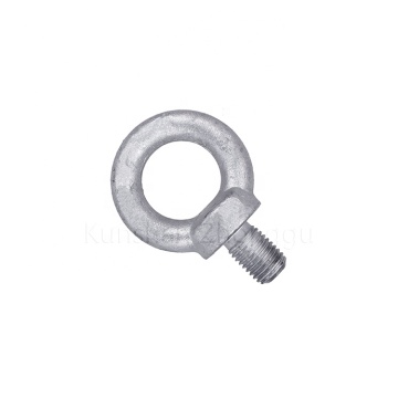 Lifting eye bolt and screw