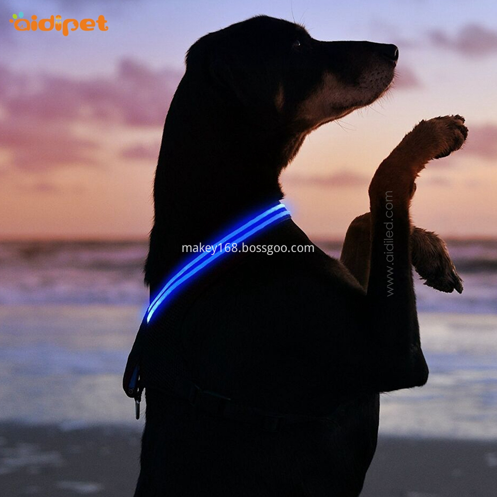 Usb Rechargeable Led Dog Harness Usb Rechargeable Led Dog Harness