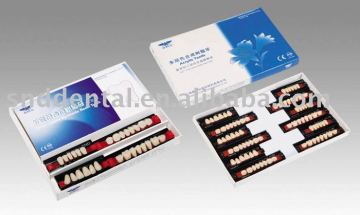 great quality Three Layer Synthetic Resin Teeth