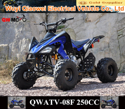 Qwmoto Ce 250cc Sports Atv 250cc Beach Atv 250cc Chinese Atv 250cc 4 ...