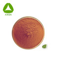 Green Tea Extract Polyphenol 98% HPLC Powder