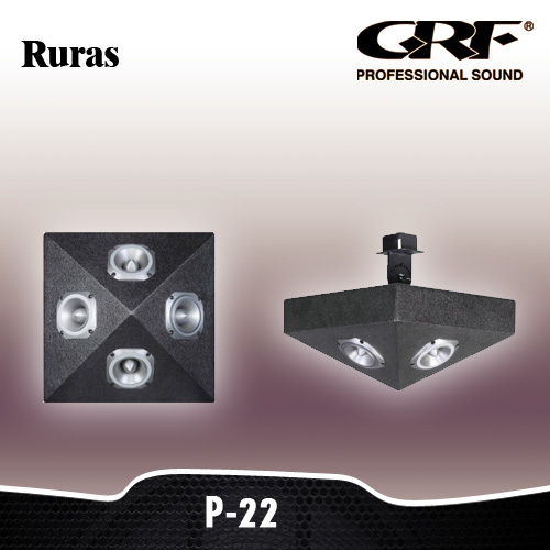 Grf Professional Additional Compression Super-High Loudspeaker (Rarus P-22)
