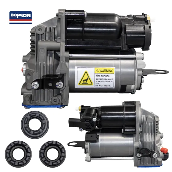 OE 2513202604 Dopson high quality auto parts assembly air pump wholesale suitable for Mercedes Benz W251/W906 05-17