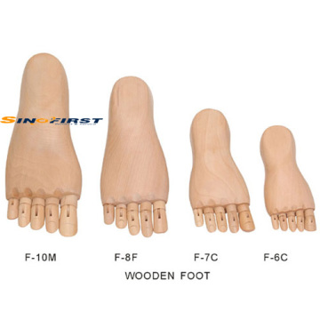 Foot Manikin