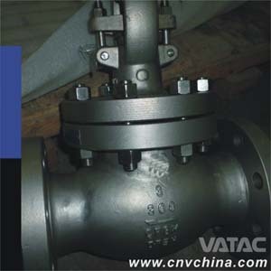Cast Steel Globe Valve A216 Wcb