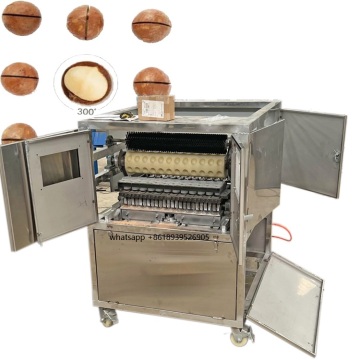 Automatic Macadamia Nut Cracker and Opening Machine