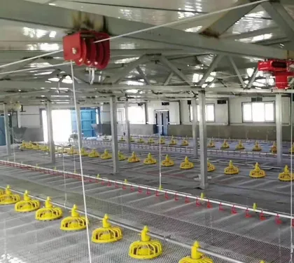 Modern Automated Broiler Chicken and Duck Farm Equipment: Complete Poultry Raising Systems