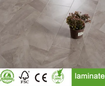 Germany Modern Classic Laminated Flooring