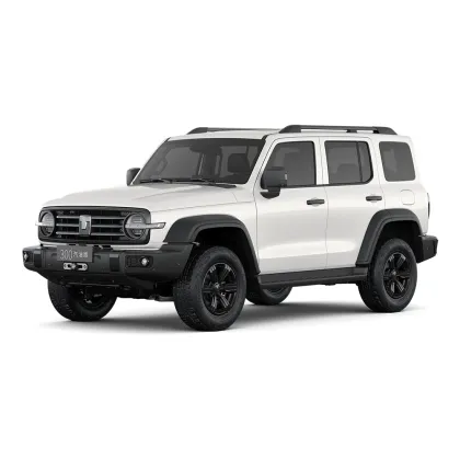 Tank 300 2025 model 2.0T Conqueror