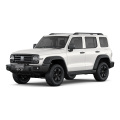 Танк 300 2025 г. Мадэль 2.0T Заваёўнік