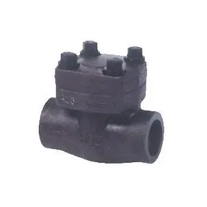 Forged Bolted Bonnet Check Valve