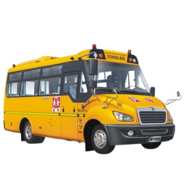 Affordable Rear Engine Luxury School Bus with Enhanced Safety Features for Kids