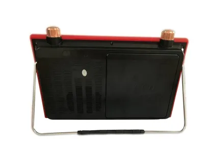 Portable video dvd player