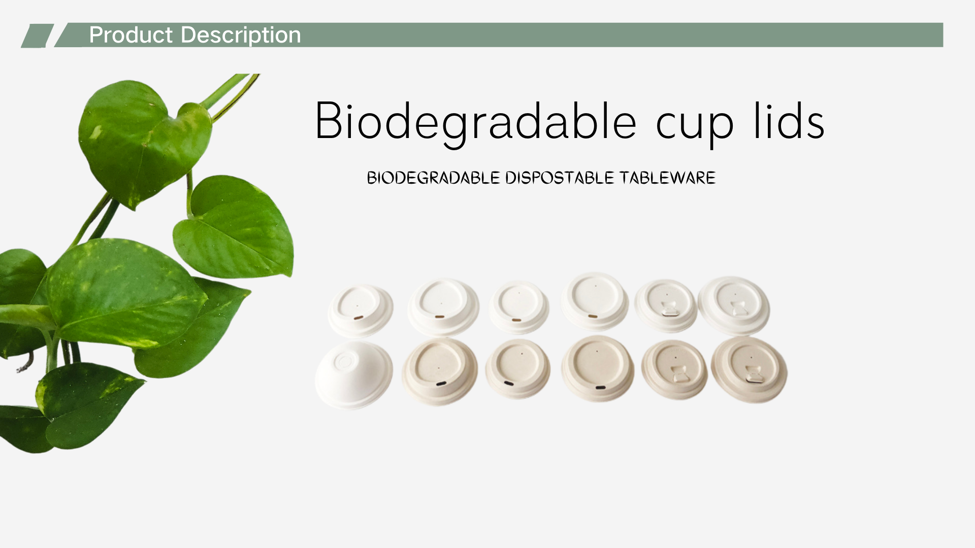 bagasse cup lid