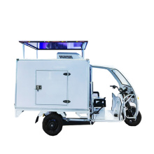 Customized PV-Powered Electric Refrigerated Tricycle Fix Rural Cold Chain Power Shortage