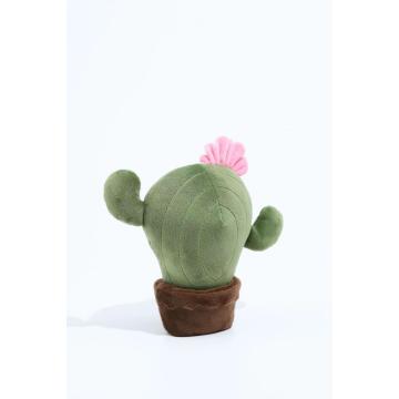 Decoración de la sala de estar de juguete de peluche de cactus de cactus creativo