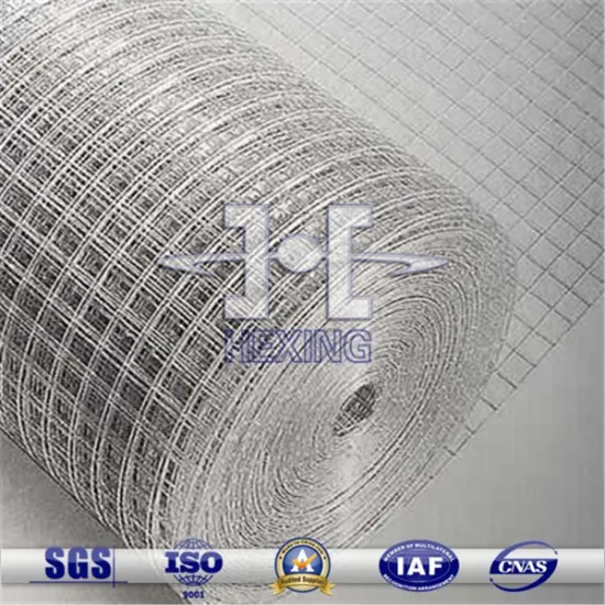 SUS Welded Mesh Roll
