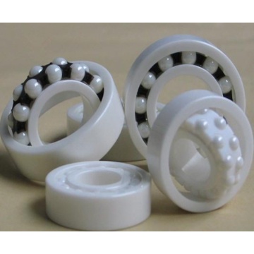 Ceramic Hydraulic Pump Bearings