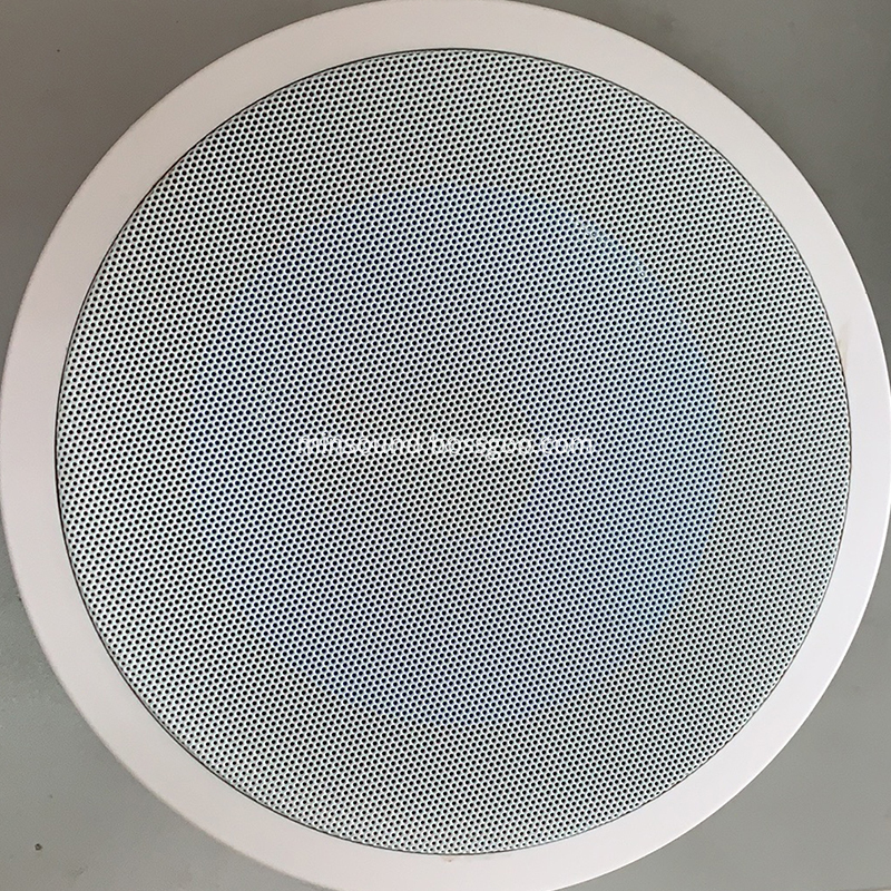 In Ceiling Speaker