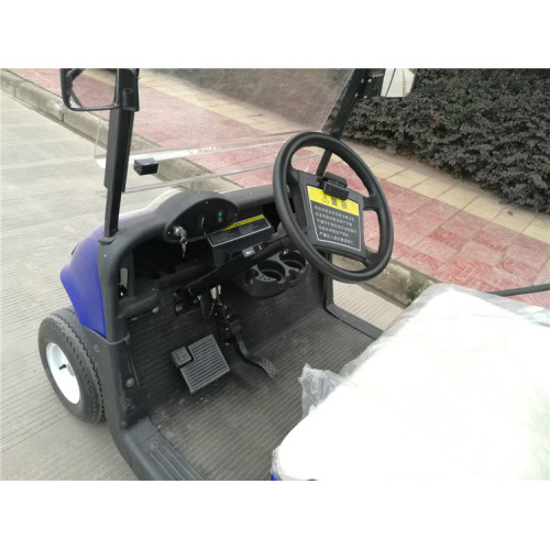 hot sale 2 seater small golf car