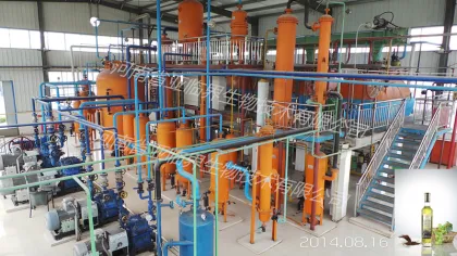 Rice Bran Oil Subcritical Extraction Machine