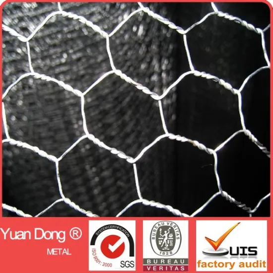GI. Hexagonal Wire Netting galvanized wire netting