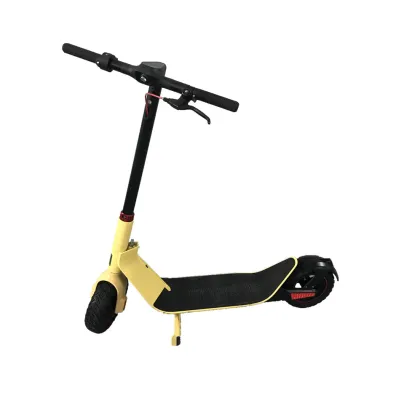 Electric Widewheel Off Road Scooter