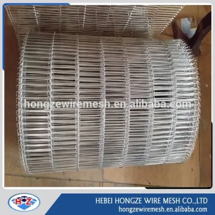 wire mesh conveyor belt--one direction conveyor belt