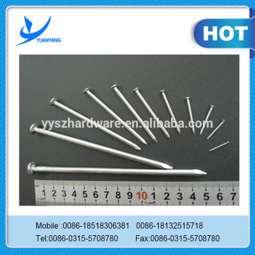 Top quality wire nails price for buyer
