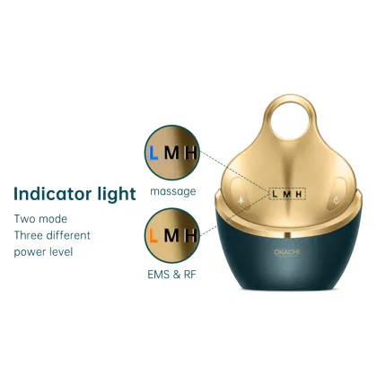 Face Home Use Beauty Skincare Physical Therapy Equipment