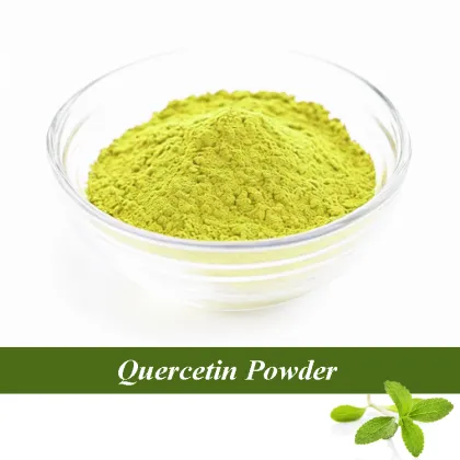 Wholesale Organic Quercetin Powder