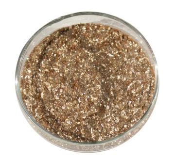 Phlogopite
