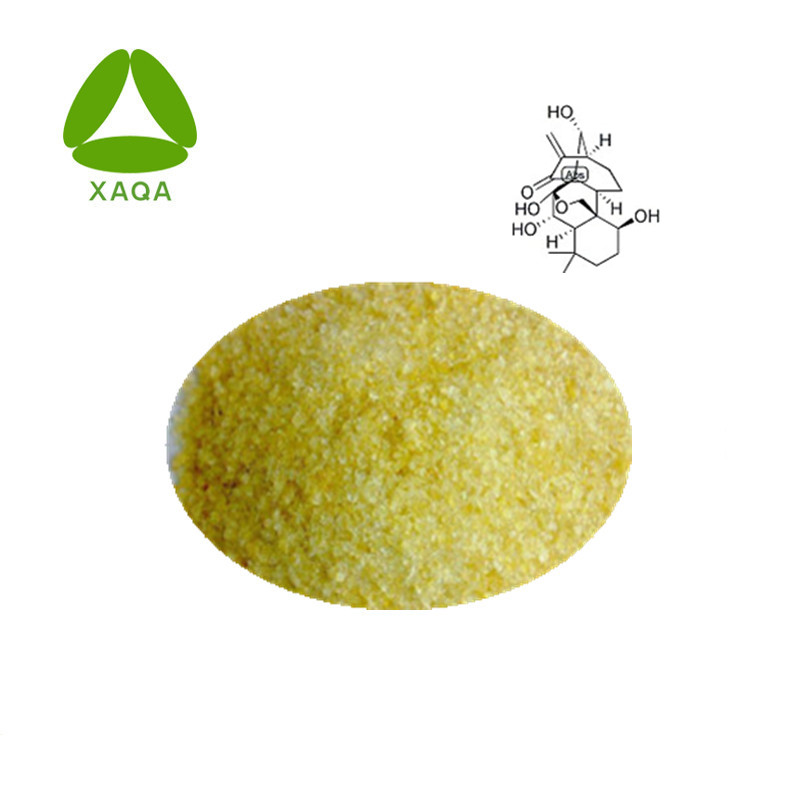 Rabdosia rubescens extract