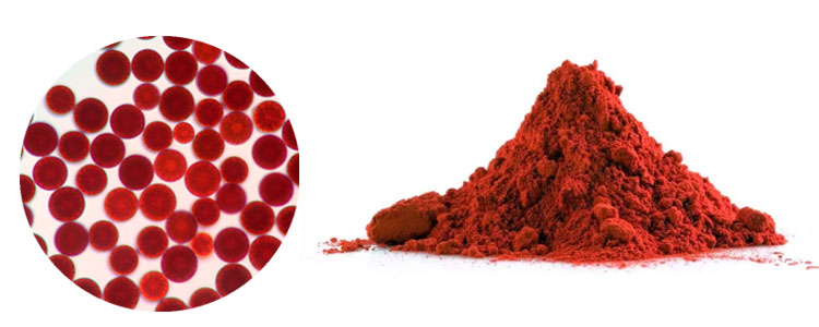 Astaxanthin powder